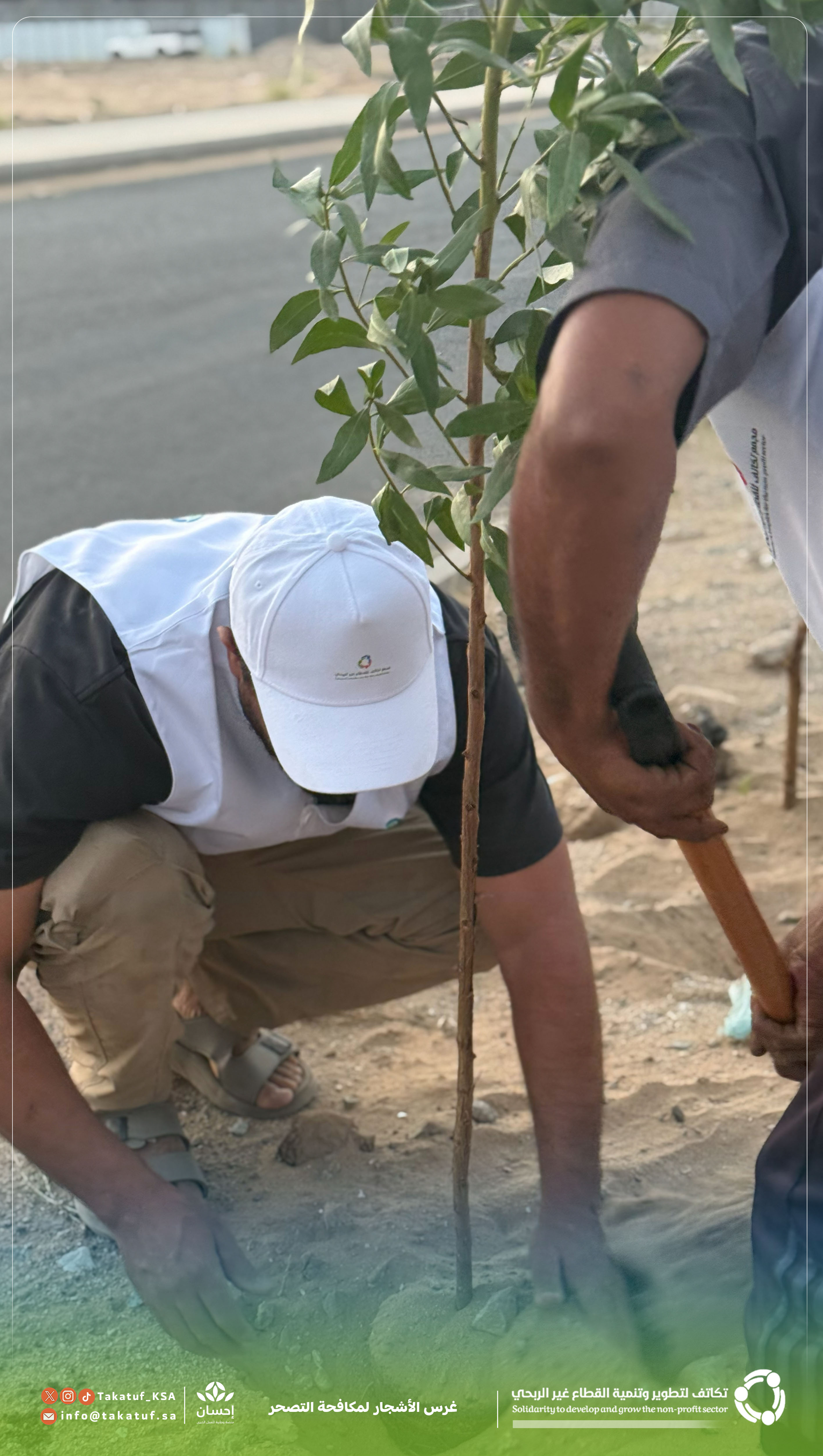 غرس الأشجار لمكافحة التصحر