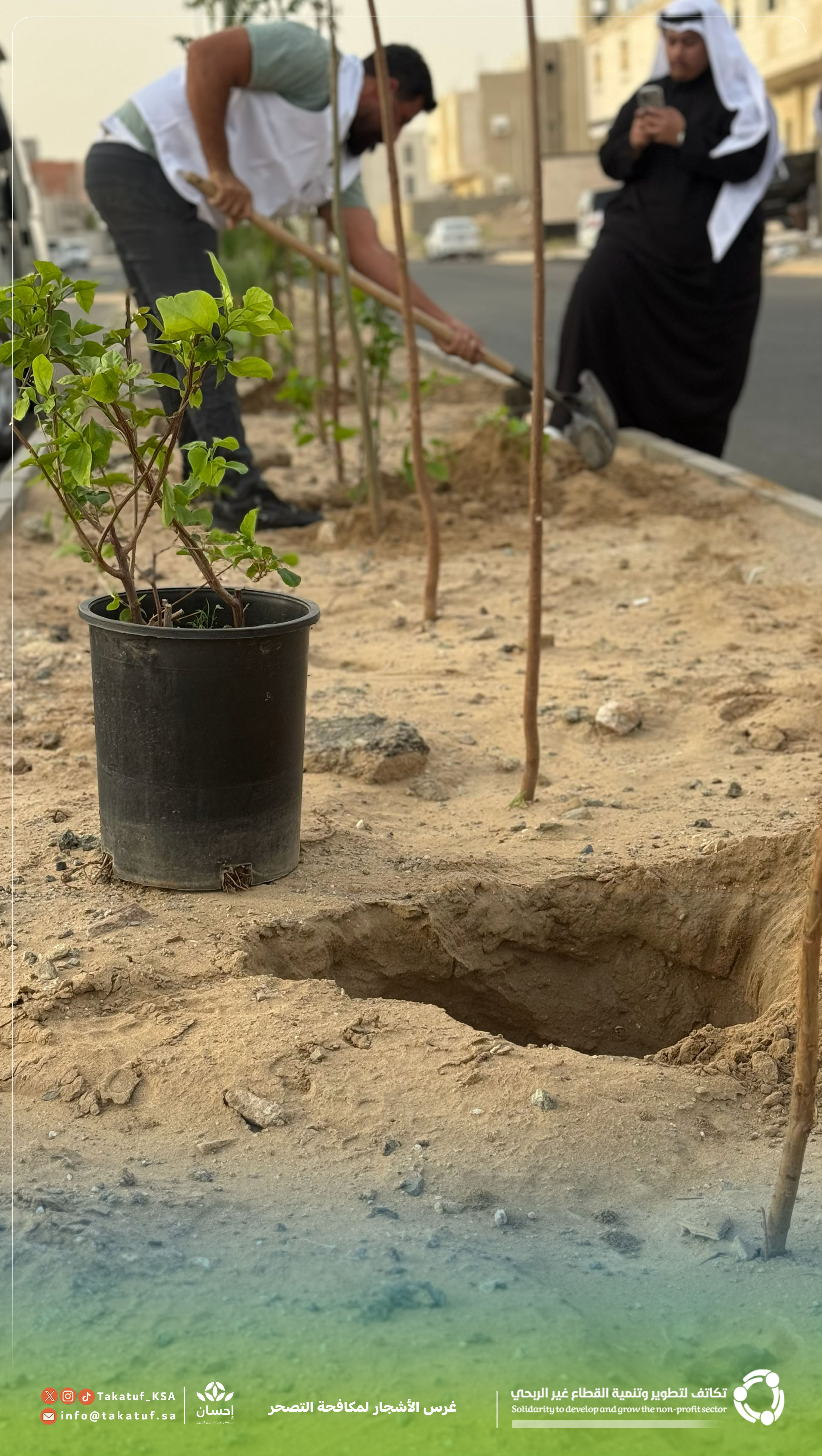 غرس الأشجار لمكافحة التصحر
